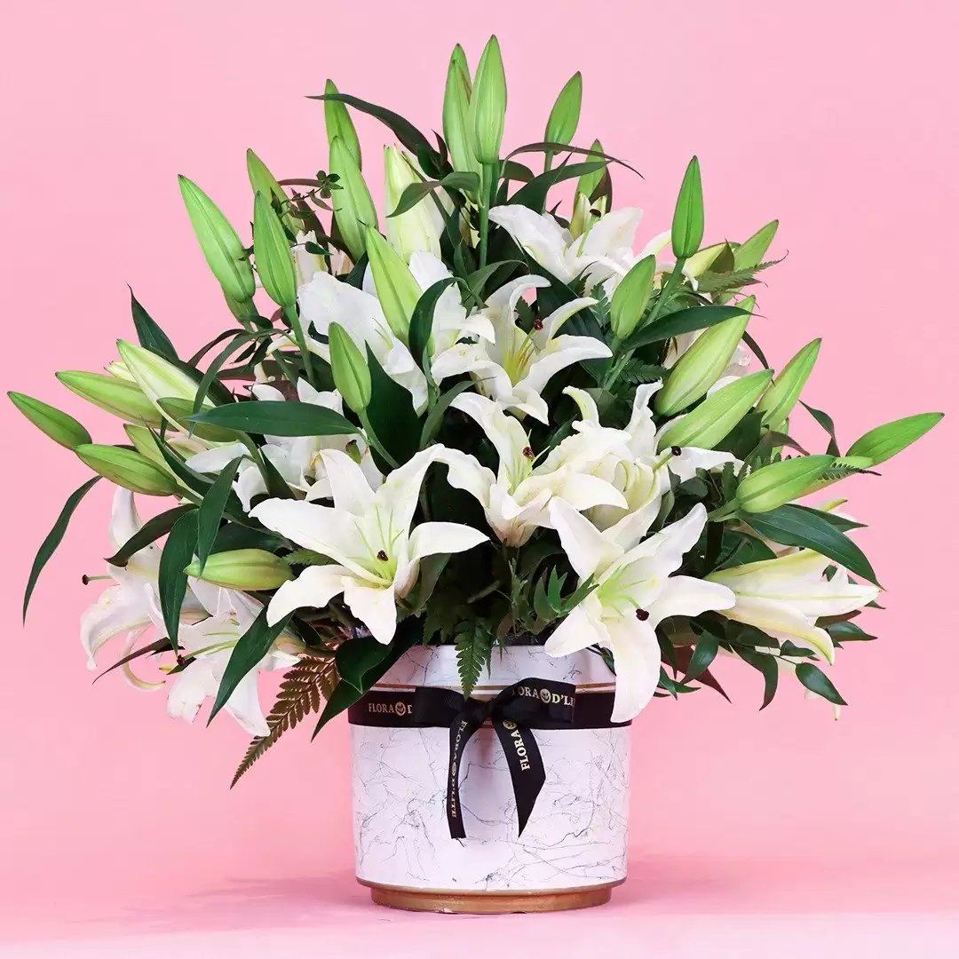 12 White Lilies in a Pot