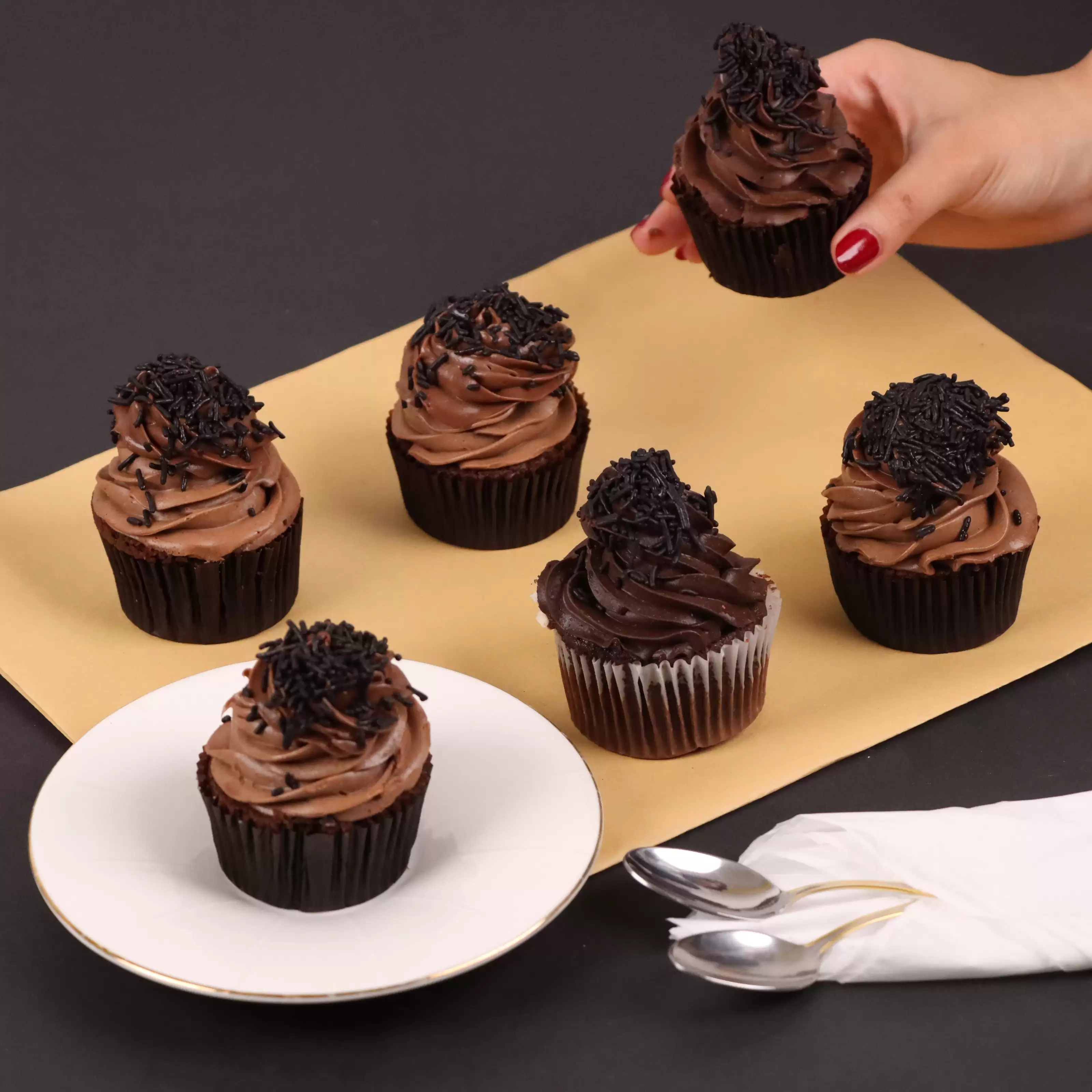 Appetizing Chocolate Cupcakes